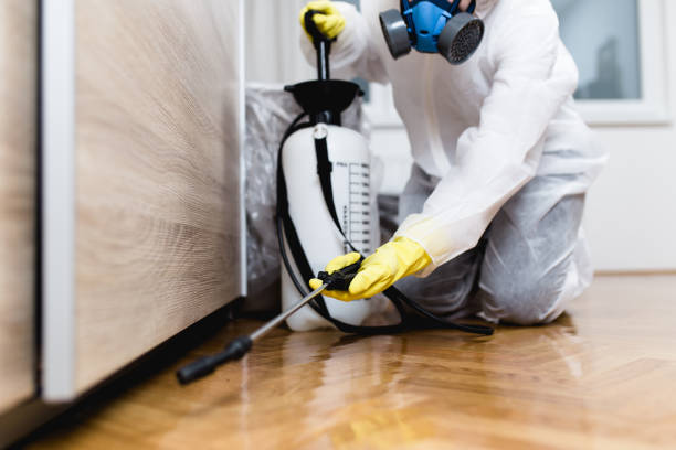 Best Wasp Removal Services  in Fairmont, WV
