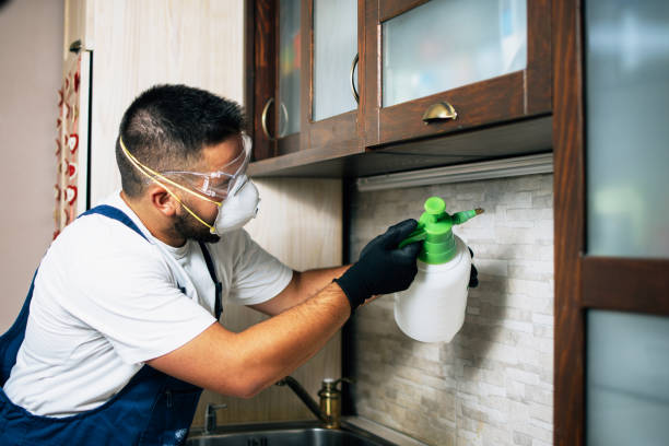 Trusted Fairmont, WV Pest Control Experts