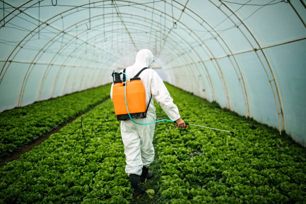 Best Best Pest Control Near Me  in Fairmont, WV