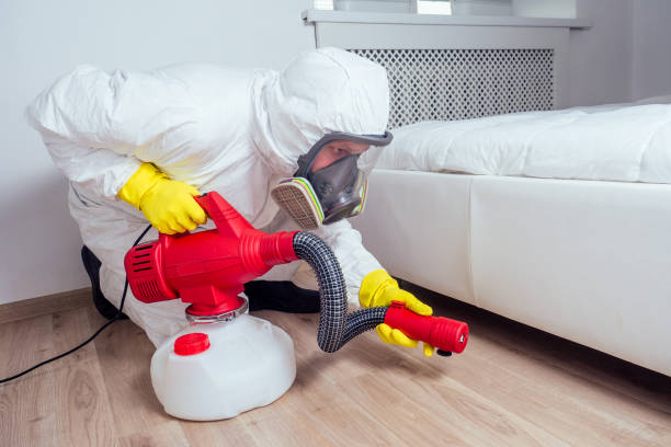 Best Mosquito Control Services  in Fairmont, WV