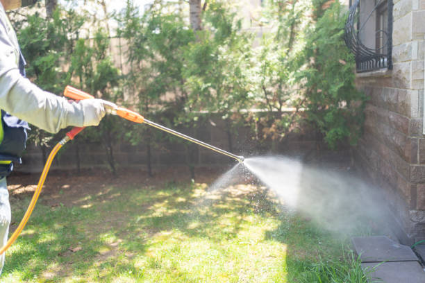 Best Pest Removal Services  in Fairmont, WV