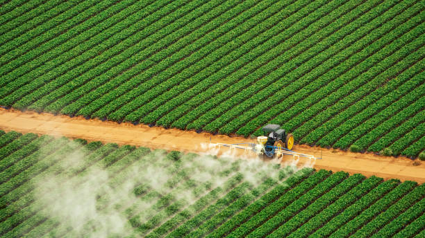 Best Mosquito Control Services  in Fairmont, WV