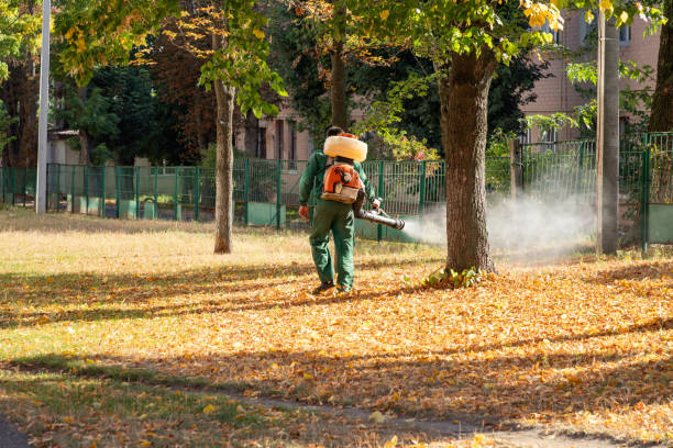 Best Spider Control Near Me  in Fairmont, WV