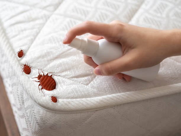 Best Insect Control  in Fairmont, WV