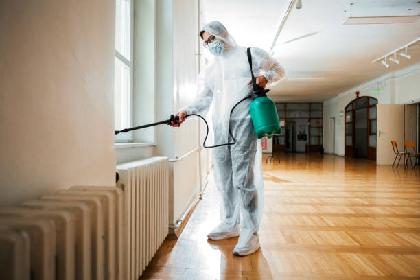 Best Rat Extermination Near Me  in Fairmont, WV
